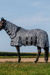 Chemise RIDING WORLD - Belly Mesh - Combo