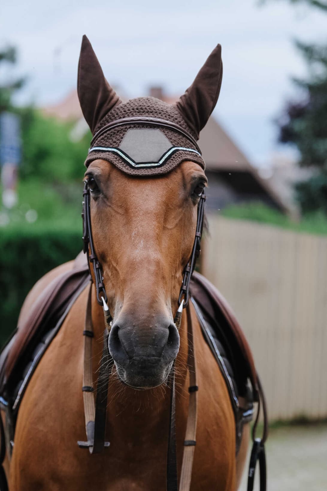 Bonnet chasse mouche EQUITHEME - Domino