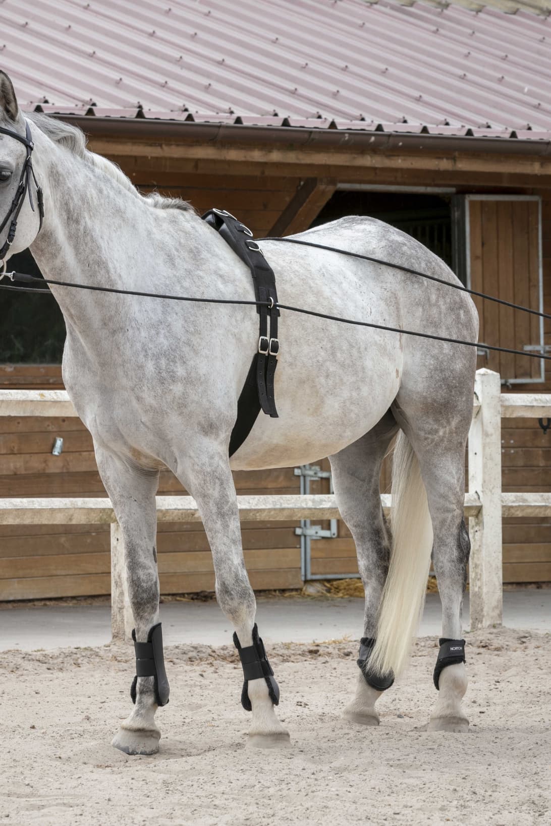 Longues rênes RIDING WORLD cuir/corde
