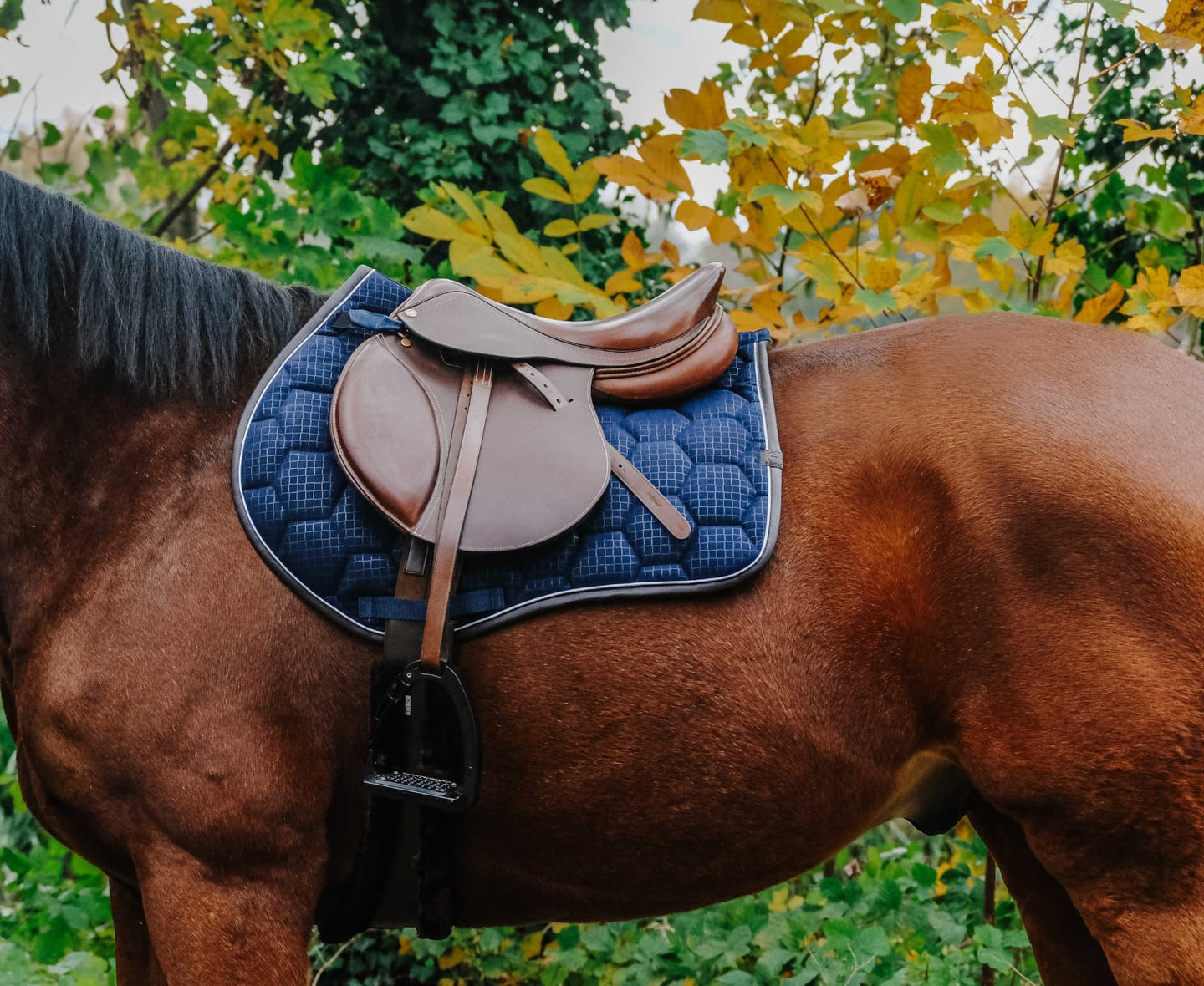 Tapis de selle EQUITHÈME - Quadri
