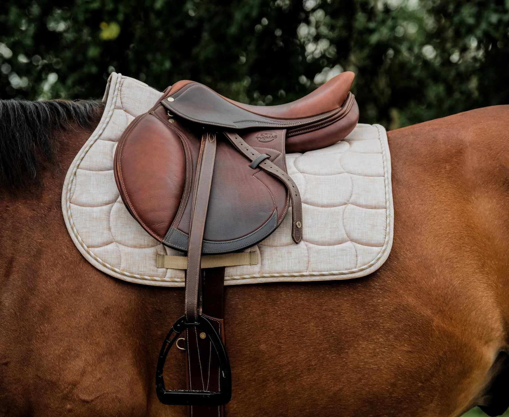 Tapis de selle RIDING WORLD - Sunshine