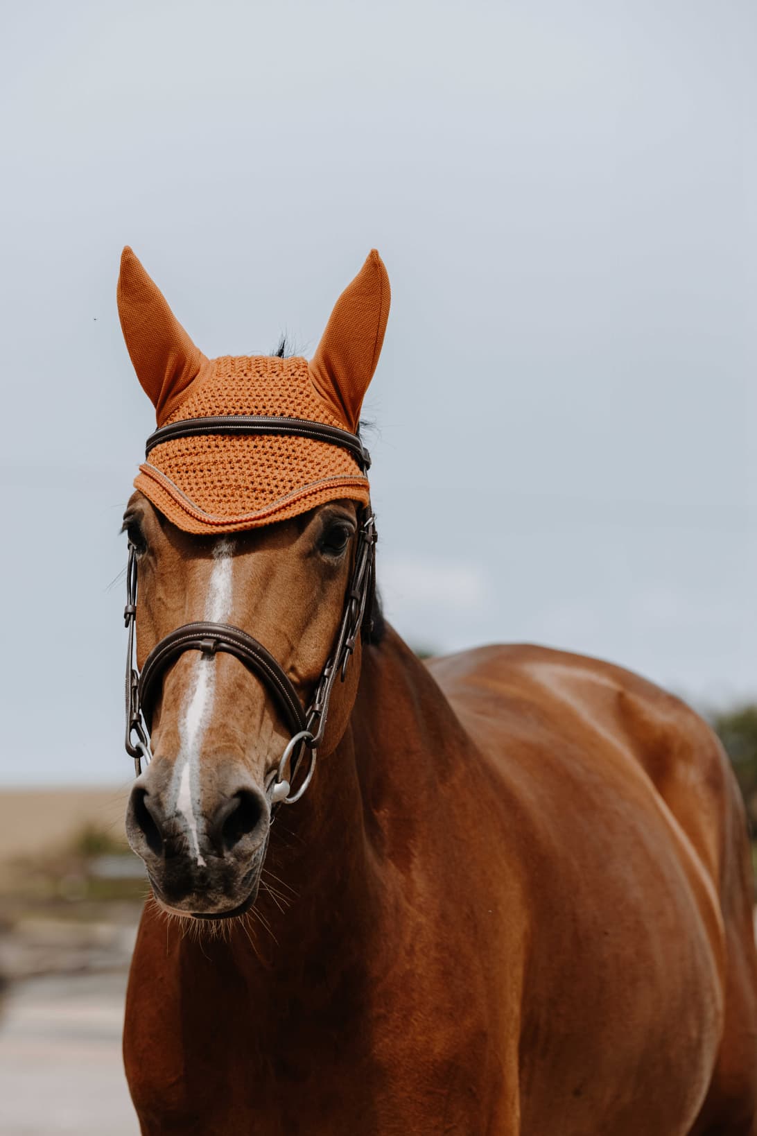 Bonnet chasse mouche EQUITHÈME - Hexalight