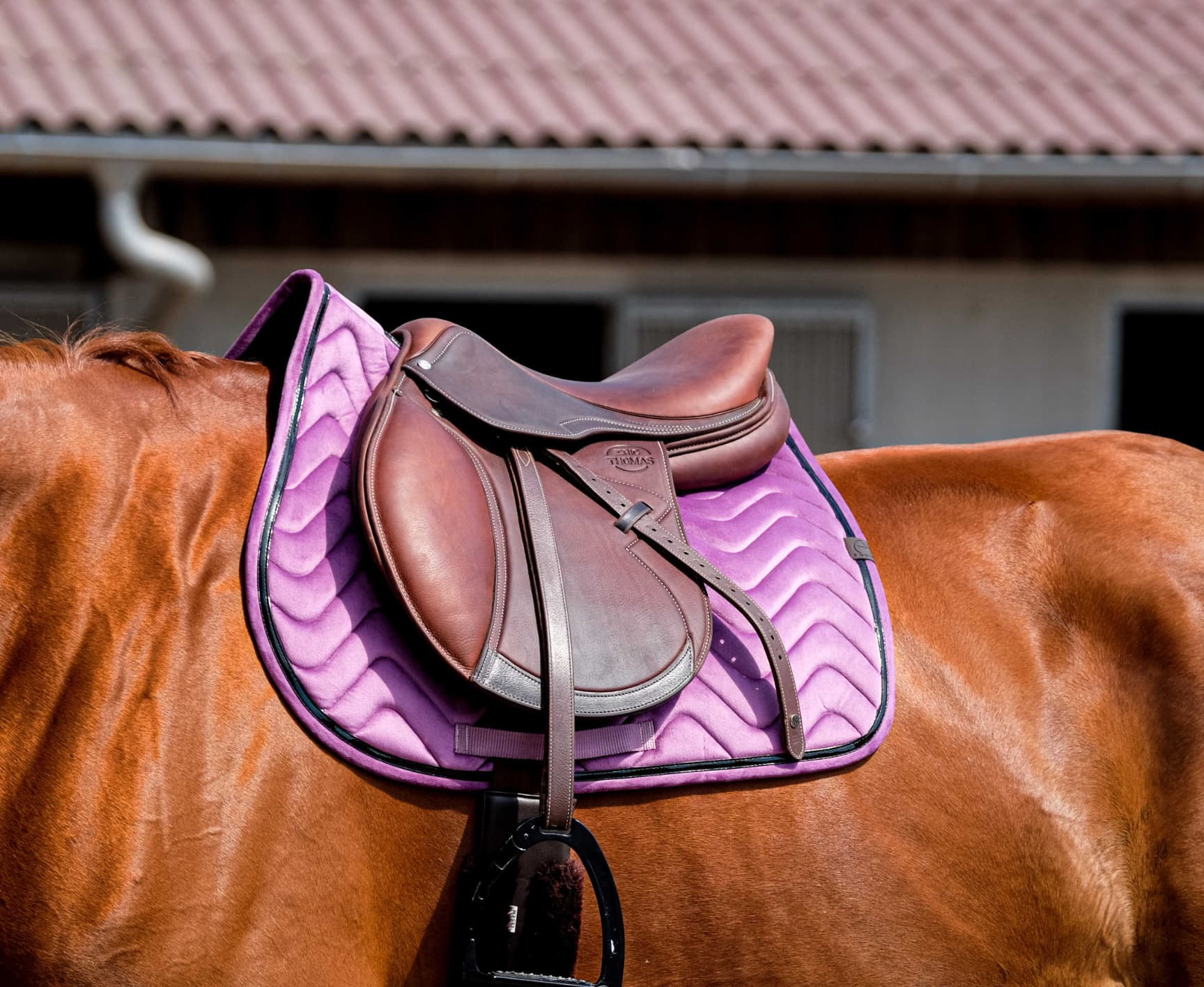 Tapis de selle EQUITHÈME -Glossy-