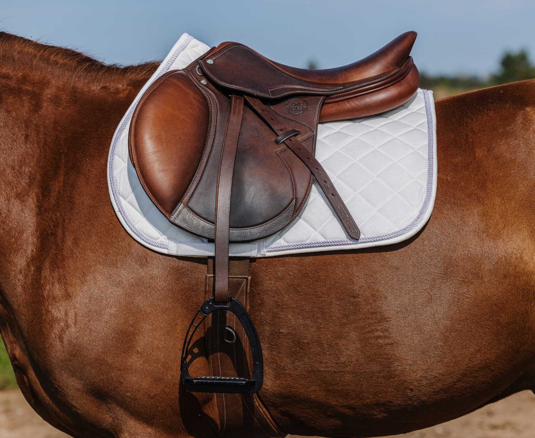 Tapis de selle RIDING WORLD - Velours