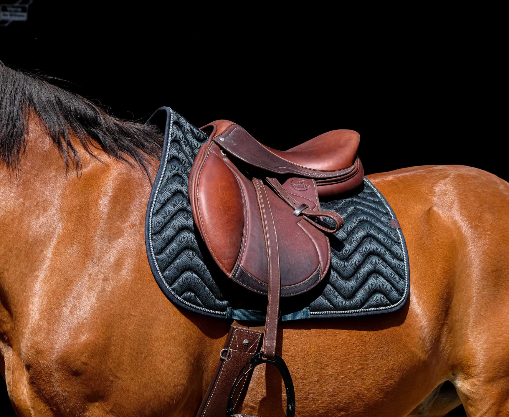 Tapis de selle EQUITHÈME - Brocart