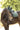 Bonnet chasse mouche LAMI-CELL - Luxin