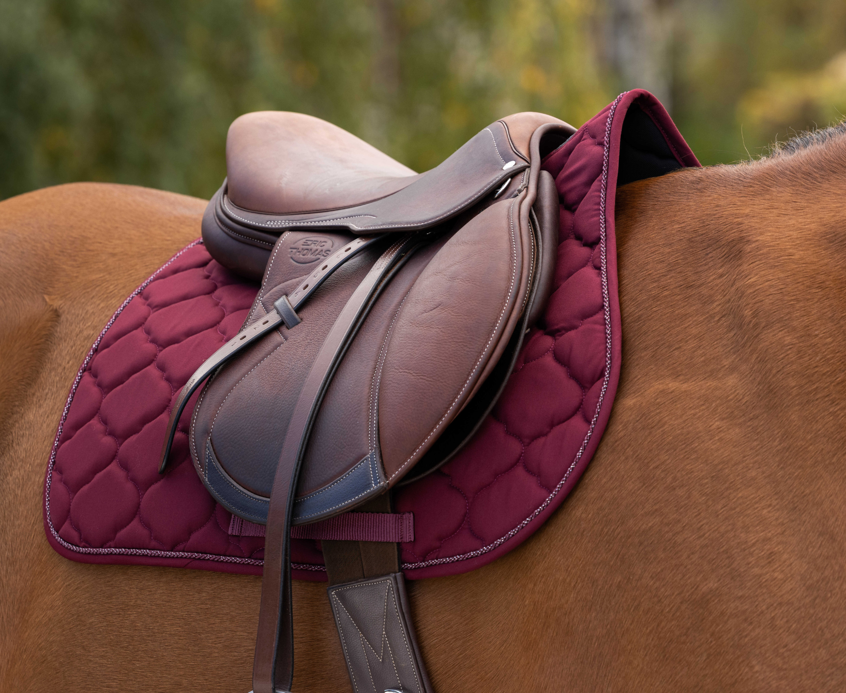Tapis de selle mixte RIDING WORLD - Rope