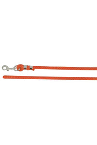 Longe attache NORTON - Bright