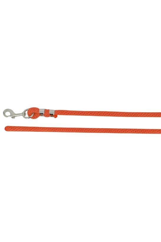 Longe attache NORTON - Bright