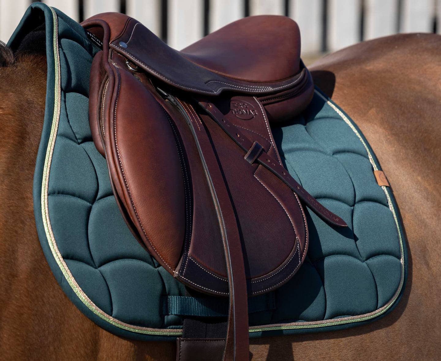 Tapis de selle EQUITHÈME -Shiny-