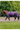 Couverture EQUITHÈME - TYREX Aisance 600D
