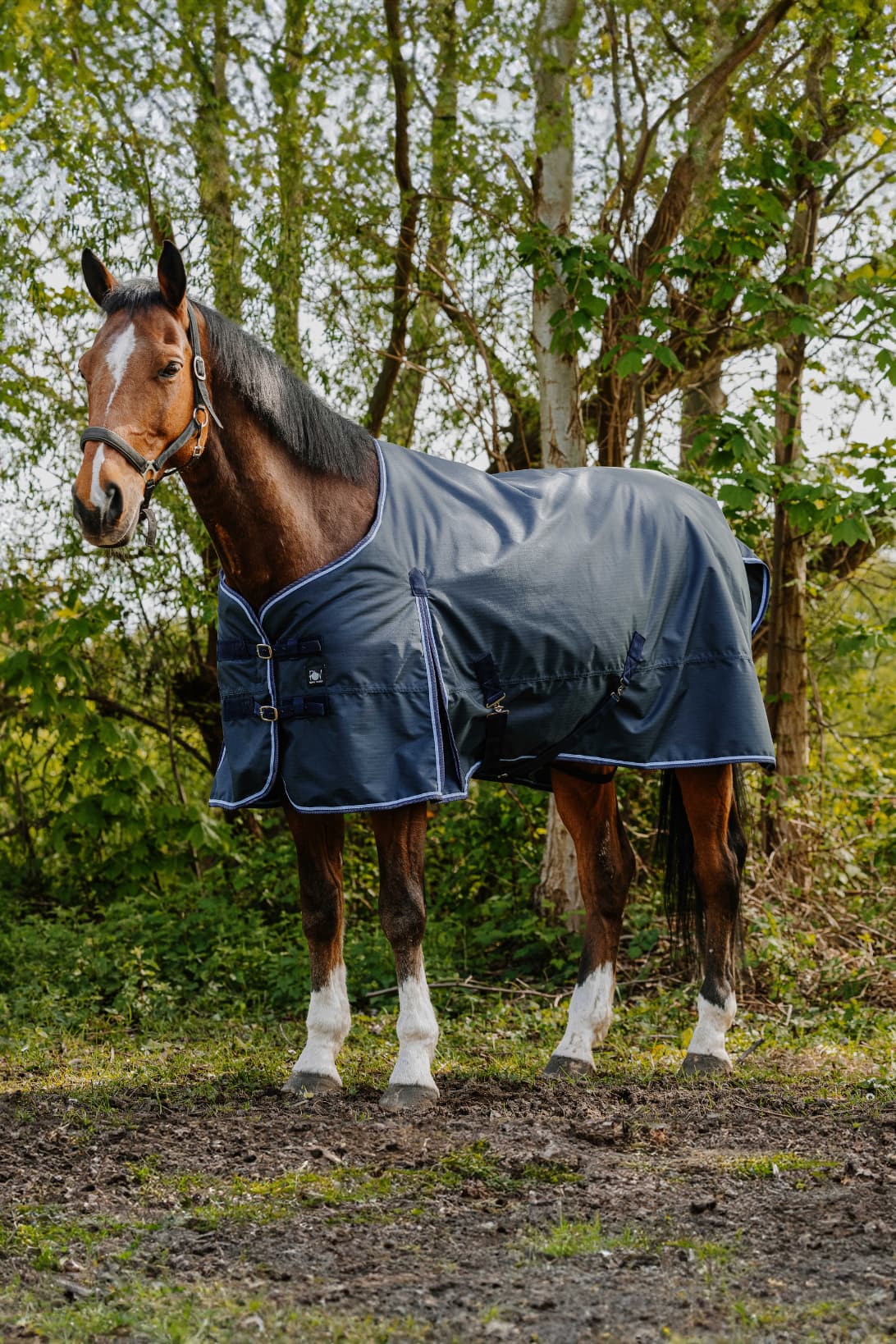 Couverture RIDING WORLD - Eco 1200D