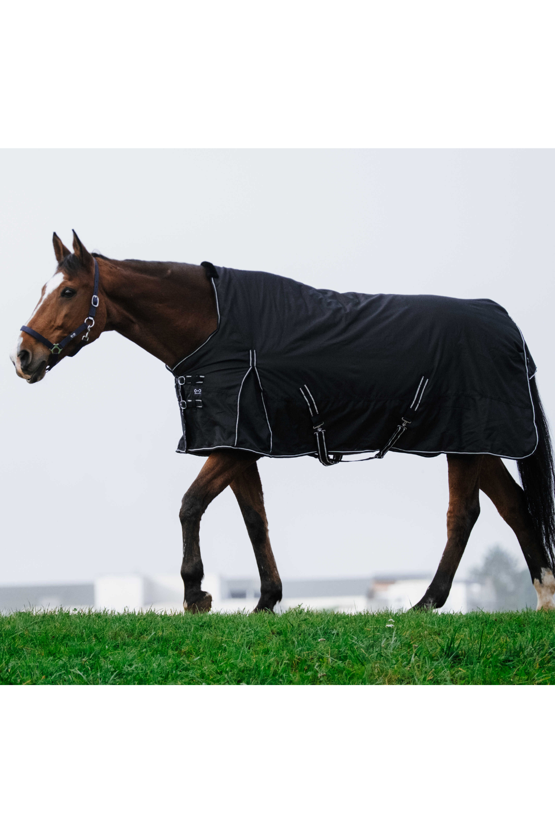 Couverture RIDING WORLD - Oxford
