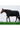 Couverture RIDING WORLD - Oxford