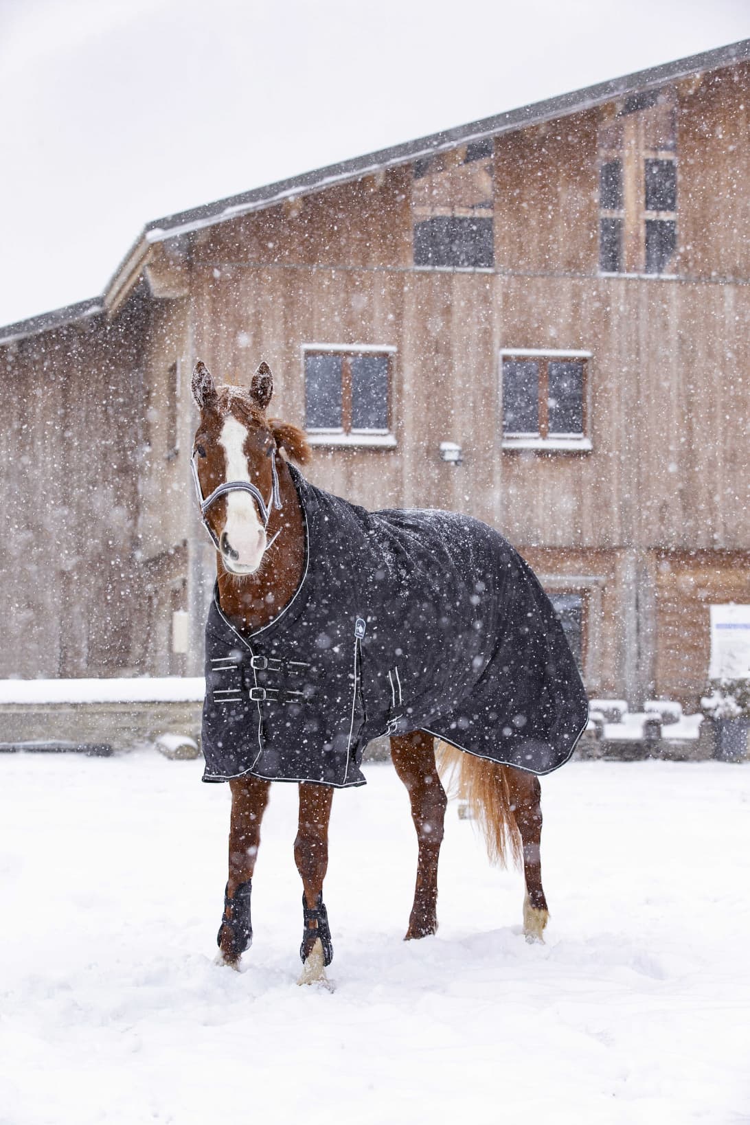 Couverture RIDING WORLD - Oxford - doublée polaire