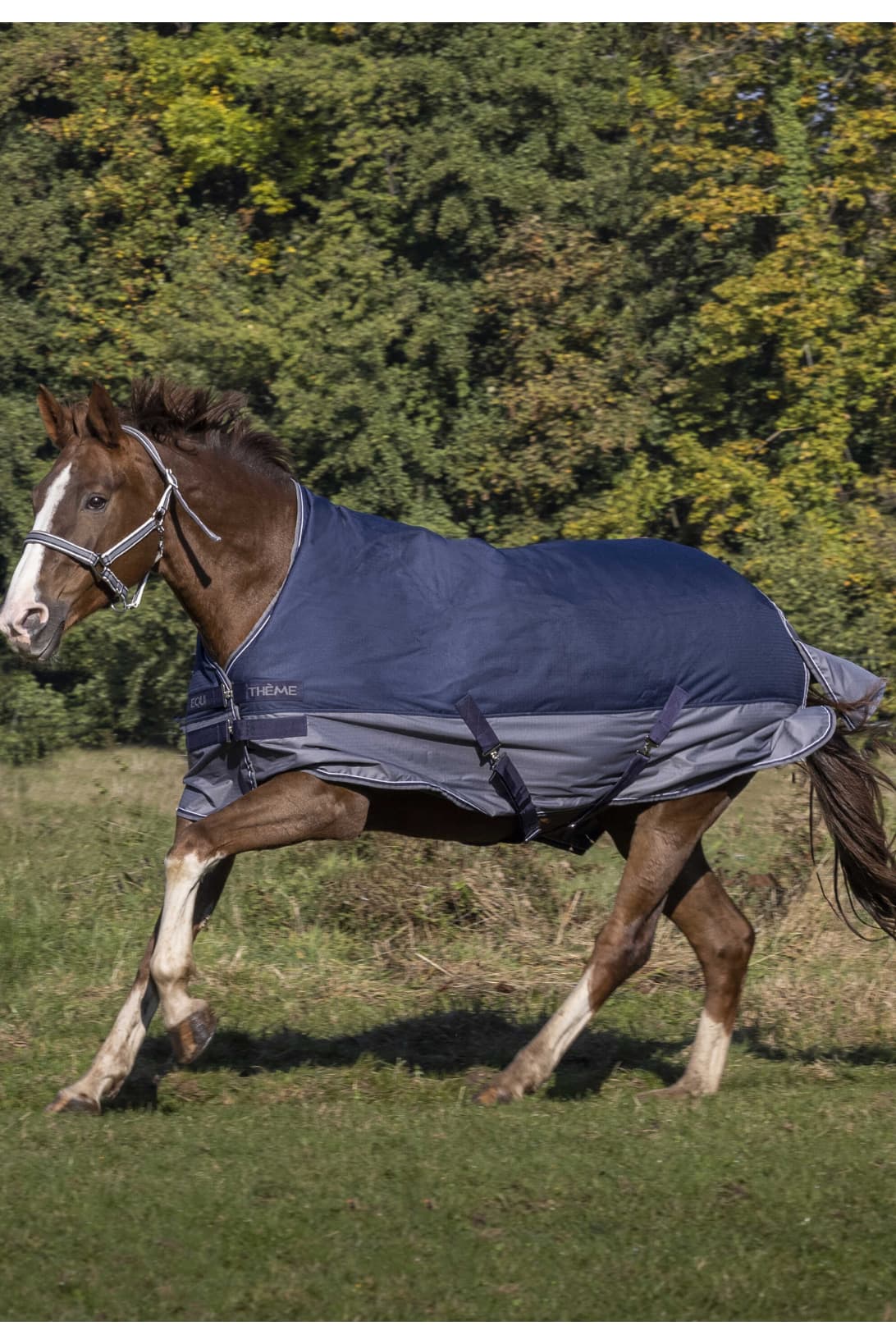 Couverture EQUITHÈME - TYREX 600D - High Neck