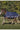 Couverture EQUITHÈME - TYREX 600D - High Neck