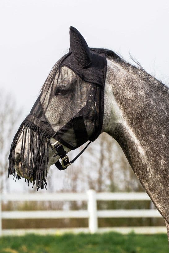 Masque anti-mouches RIDING WORLD - Franges