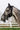 Masque anti-mouches RIDING WORLD - Franges