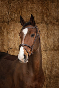 Bridon NORTON PRO - Perle