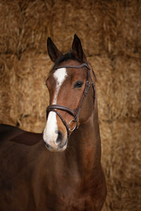 Bridon NORTON PRO - Perle