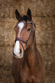 Bridon NORTON PRO - Miss