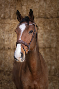 Bridon NORTON PRO - Miss