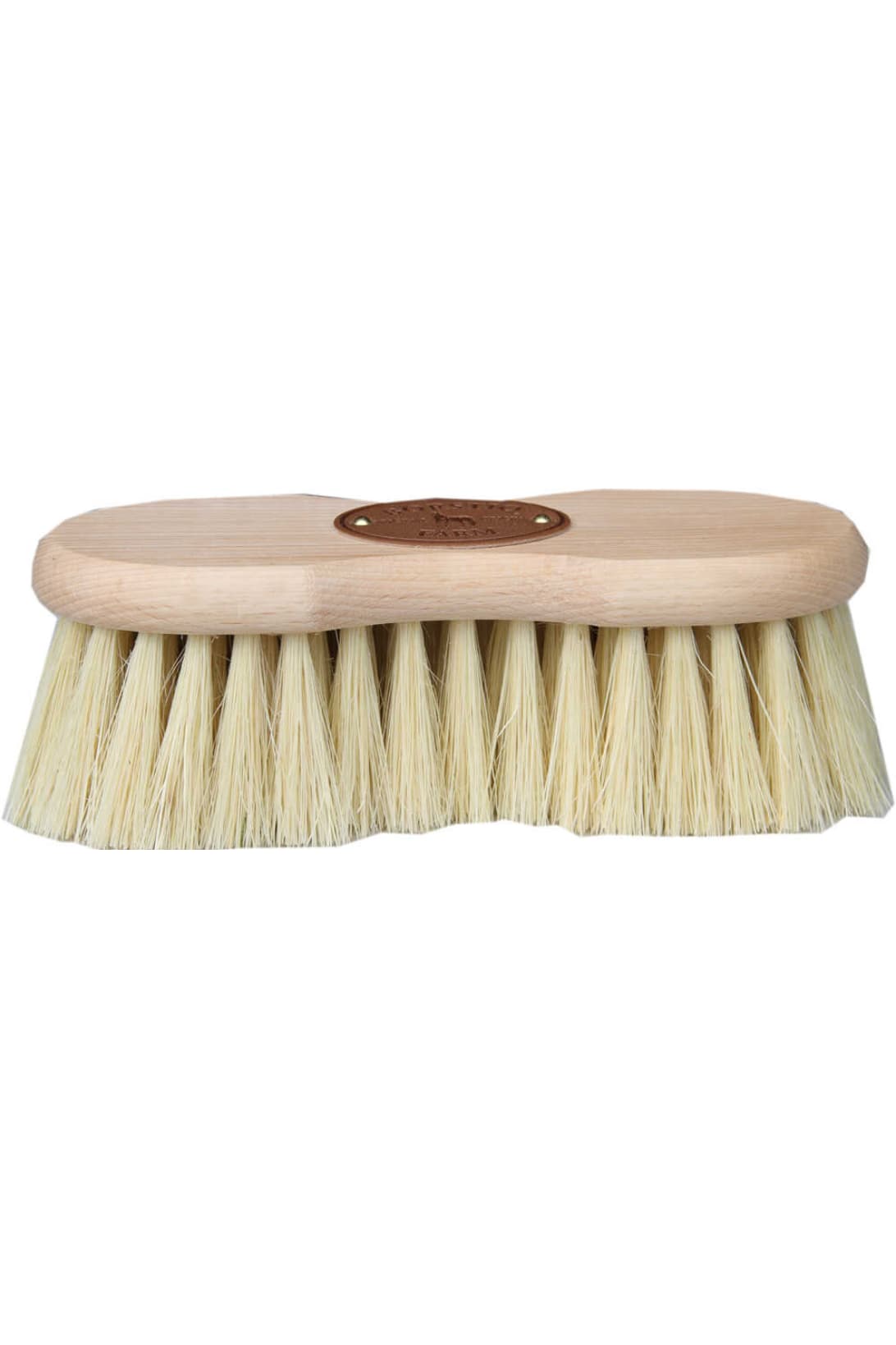 Brosse Infini BORSTIQ - Cactus