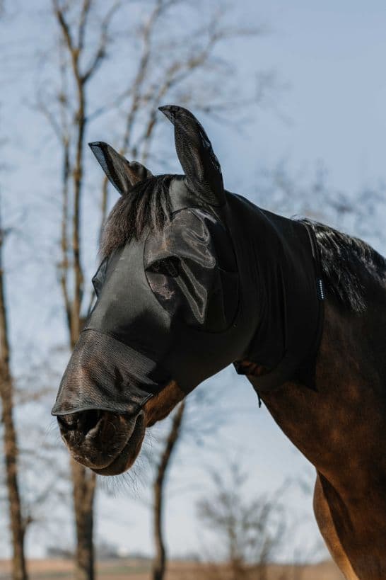 Masque anti-mouches anti-UV EQUITHÈME - Hood